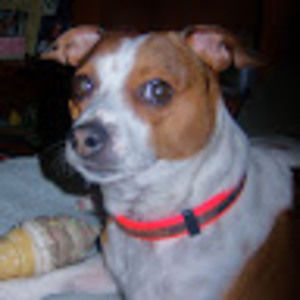 Meet your Posher, Brooklyn